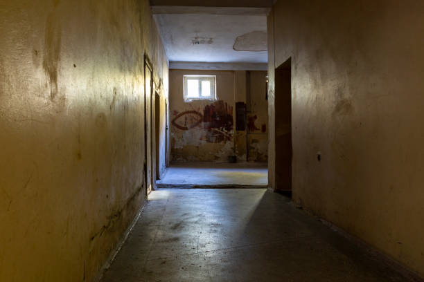 istock A large high corridor in an old building 1437721789