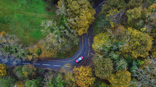 나무 사이, aysgarth, wensleydale, yorkshire dales 국립 공원, 노스 요크셔, 잉글랜드, 영국 사이의 시골 도로에서 굽은 곳을 통해 운전하는 자동차의 공중보기 - wensleydale 뉴스 사진 이미지
