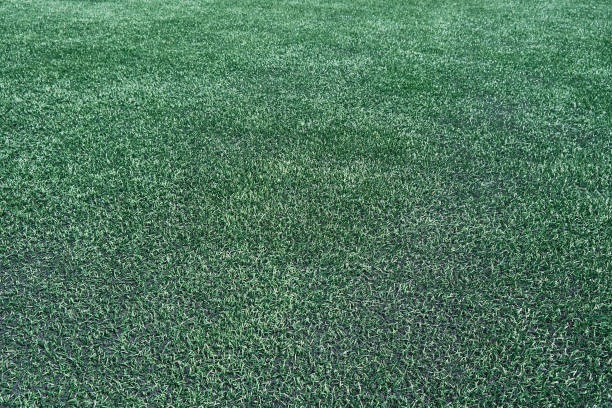 istock Artificial grass surface used in sports fields for sports games 1437726526
