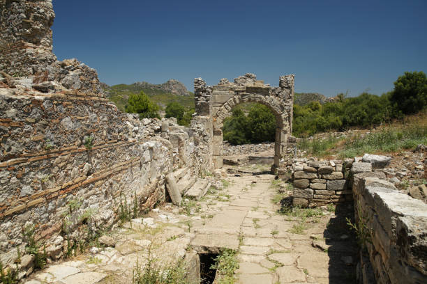 istock Gate in Aspendos Ancient City in Antalya, Turkiye 1437727867