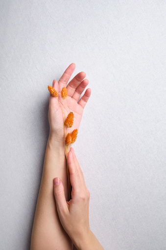Hermosas manos femeninas sosteniendo flores secas sobre un fondo claro. Estética del minimalismo. El concepto de spa, salones de bodas, tratamientos de manos, floristería photo