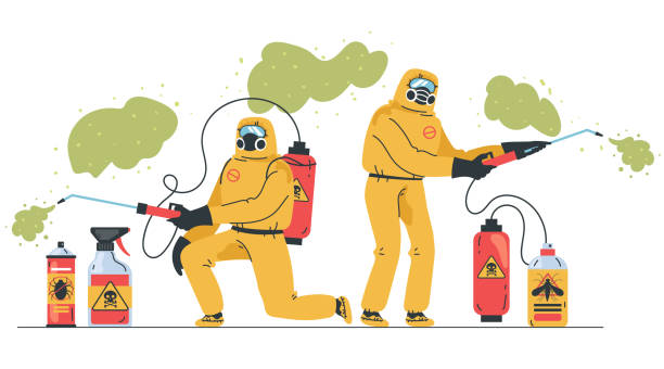 Disinfector workers making disinfection protection work. Pest control concept. Vector graphic design illustration element Disinfector workers making disinfection protection work. Pest control concept. Vector graphic design element insecticide stock illustrations