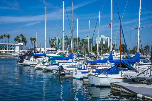 White and blue sailboats moored in the Marina del Rey harbor on a bright sunny day