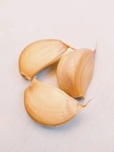 Fresh raw whole garlic cloves organic lehsun ajo alho closeup view image photo