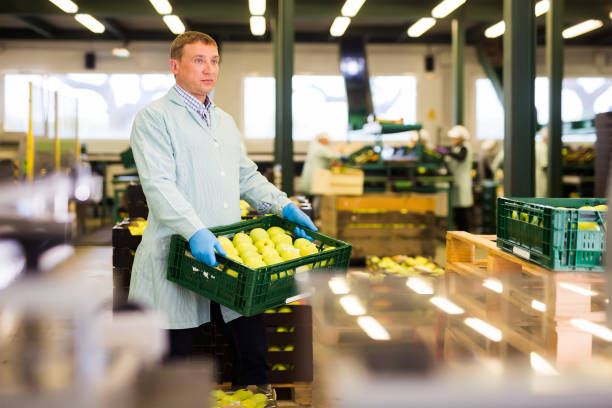 istock self-confident man working on fruit sorting line, carrying box with apples in storage 1437735639