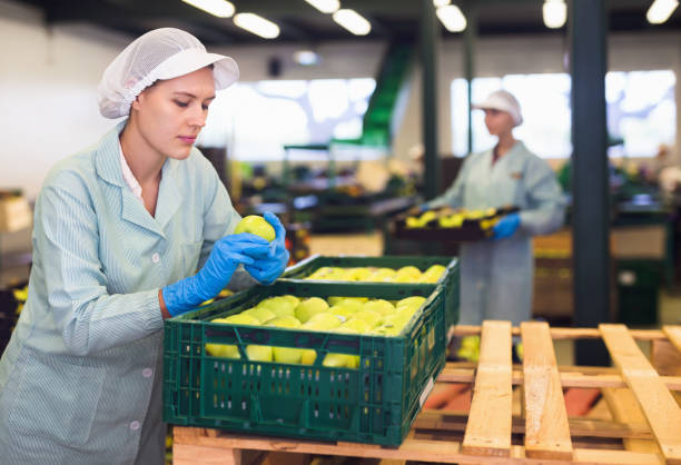 istock Young woman in uniform holding crate with apples during packaging at warehouse 1437735648