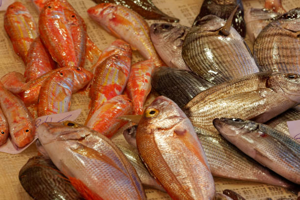 The Catania fish market is lively, boisterous, colorful, and gritty with an exhilarating atmosphere.