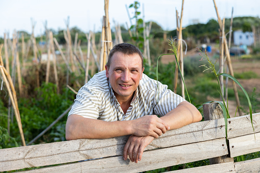 Male farmer posing at fence of his farm on a summer day