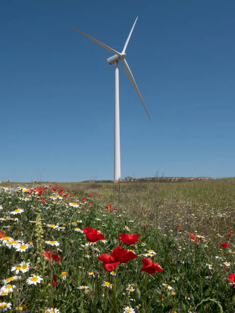 Windmills stock photo