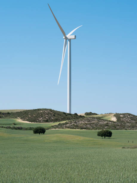 Windmills stock photo