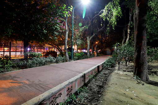 Country road perspective view in Delhi city at night.