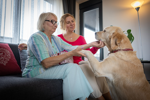 An Older senior Mother , Daughter and Their Cute dog are Having a Fun Inside the Living Room.