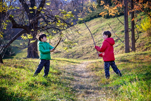 Two brothers fight with sticks. The child screams with his mouth wide open. Dangerous children's games. Walking outside in the village. Rural guys emotionally express their feelings.