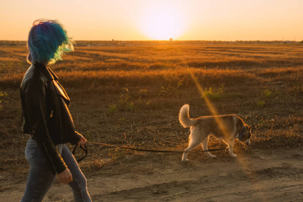 ジャケットを着た青い髪の女性は、秋の牧草地で首輪付きのひもで犬を散歩させます。白と赤のウールとハスキー。休暇を楽しむかわいい女の子。染めた髪。レジャー - real people blue white friendship ストックフォトと画像