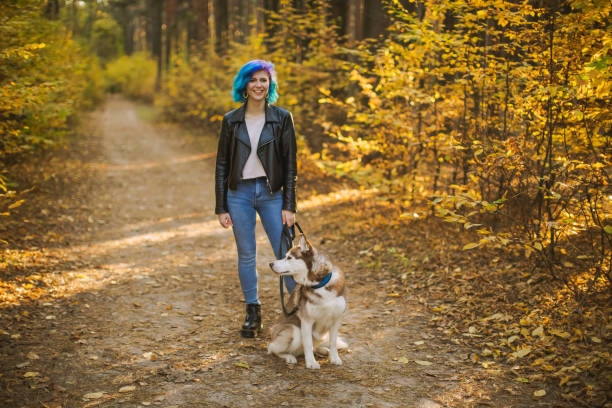 ジャケットを着た青い髪の女性は、秋の森で首輪付きのひもにつないで犬を散歩させる。白と赤のウールとハスキー。休暇を楽しむかわいい女の子。染めた髪。レジャー - real people blue white friendship ストックフォトと画像