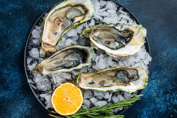 istock Seafood appetizer - Opened Fresh oysters with lemon and ice. Blue background. Top view 1437750606