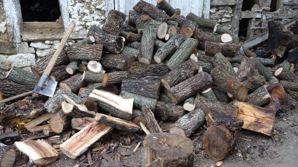 istock Axe sticking in a chunk of firewood 1437752107
