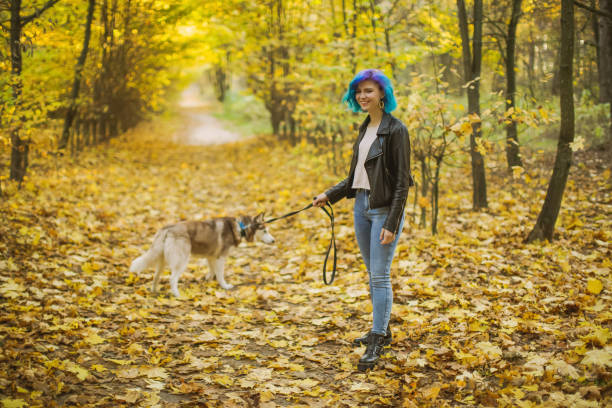 ジャケットを着た青い髪の女性は、秋の森で首輪付きのひもにつないで犬を散歩させる。白と赤のウールとハスキー。休暇を楽しむかわいい女の子。染めた髪。レジャー - real people blue white friendship ストックフォトと画像
