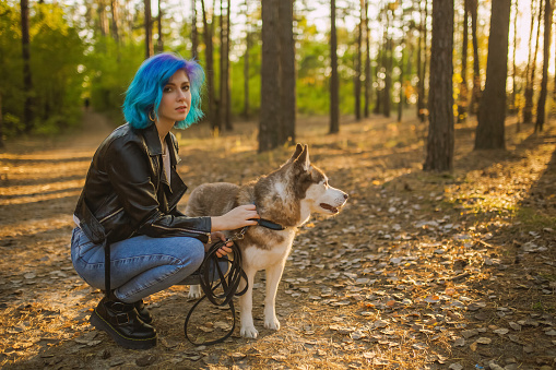 Blue hair woman in jacket walks dog on leash with collar in autumn forest. Husky with white and red wool. Pretty girl enjoying vacation. Dyed hair. Leisure
