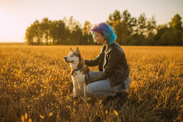 ジャケットを着た青い髪の女性は、秋の牧草地で首輪付きのひもで犬を散歩させます。白と赤のウールとハスキー。休暇を楽しむかわいい女の子。染めた髪。レジャー - real people blue white friendship ストックフォトと画像
