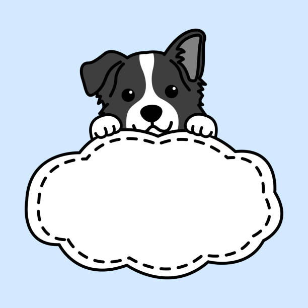 Cute Border Collie Dog With Frame Border Template Cartoon Vector  Illustration Stock Illustration - Download Image Now - iStock