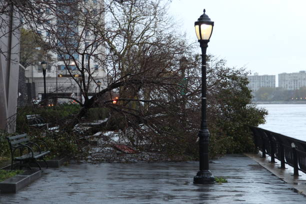 huragan sandy uderza w nowy jork - hurricane sandy staten island new york city new york state zdjęcia i obrazy z banku zdjęć