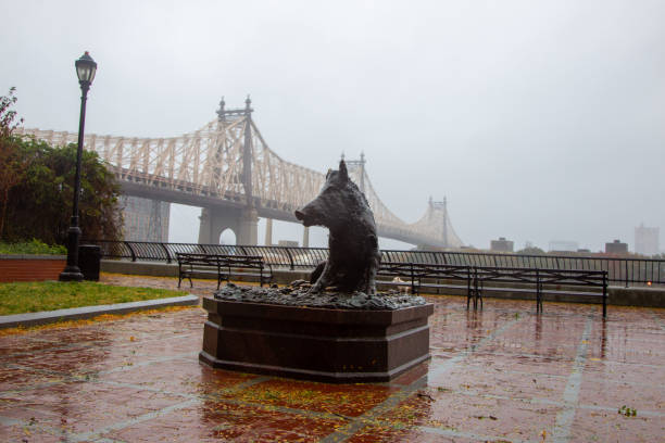 huragan sandy uderza w nowy jork - hurricane sandy staten island new york city new york state zdjęcia i obrazy z banku zdjęć