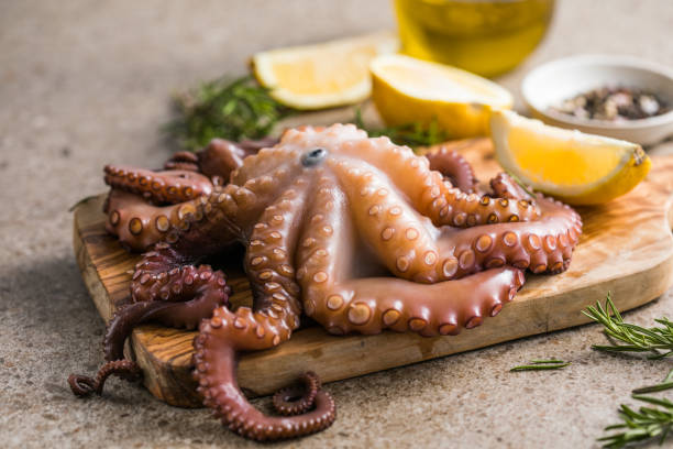 Octopus cooked with chopped herbs served on a  board stock photo