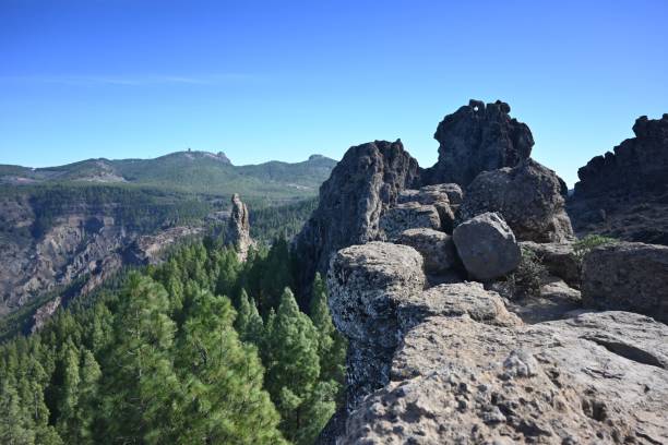 istock Trees in the Mountains with beautiful view 1437755186