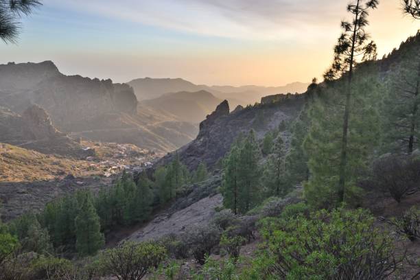 istock Trees in the Mountains with beautiful view 1437756994