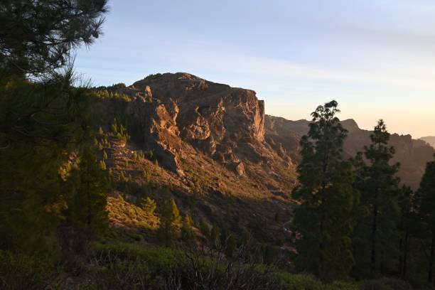 istock Trees in the Mountains with beautiful view 1437756999