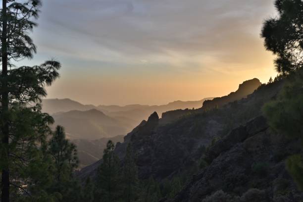 istock Trees in the Mountains with beautiful view 1437757000