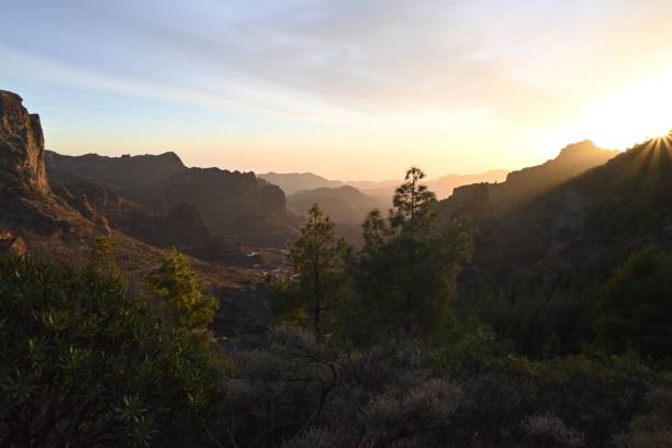 istock Trees in the Mountains with beautiful view 1437757002