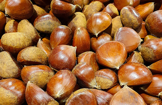 A closeup of chestnut bunch