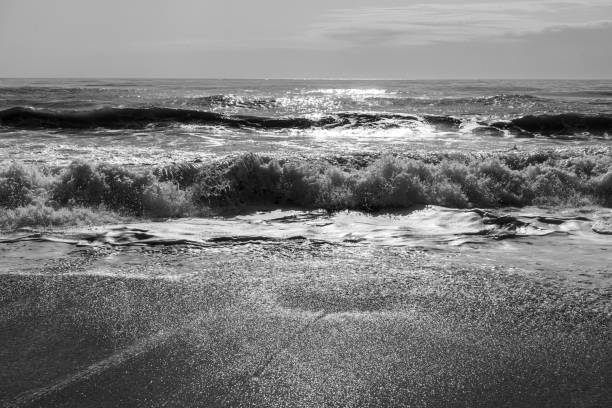 istock Waves on sunset, black and white photo 1437757258