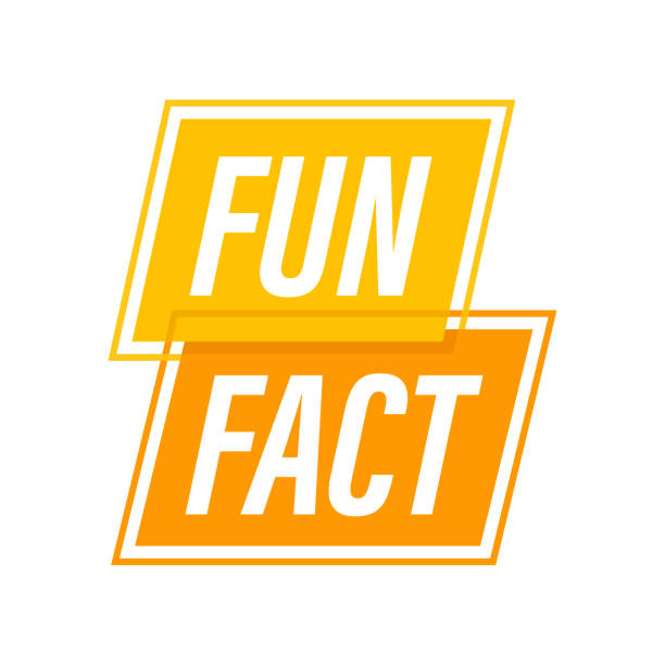 Hand holding megaphone - Fun fact. Vector stock illustration. Hand holding megaphone - Fun fact. Vector stock illustration fact bubble stock illustrations