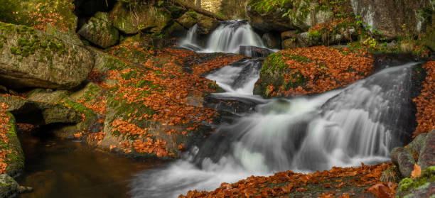 Cerna Desna creek in Jizerske mountains in autumn color morning stock photo