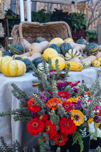 istock Farmers Market bounty 1437759270
