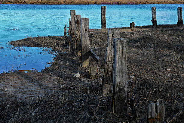 Shoreline, Northport, Long Island, NY