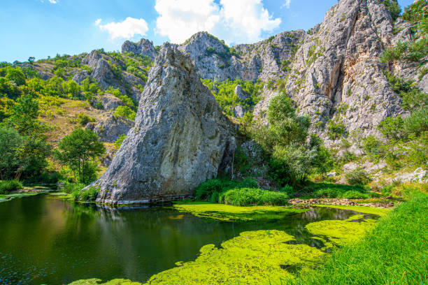 Mountain crystal clear creek in the woods of Serbia