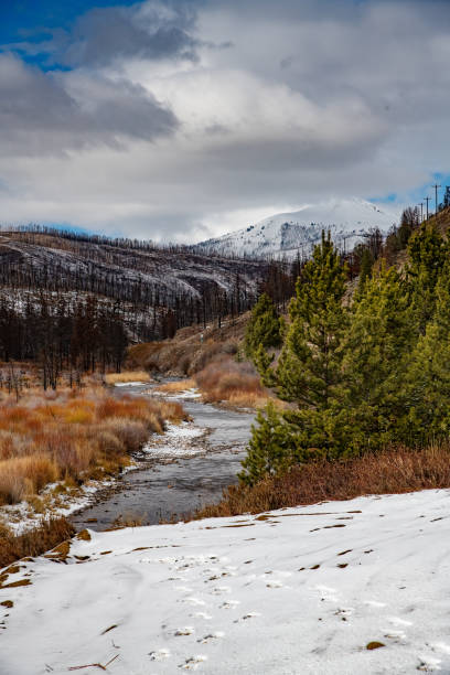 istock River through moose country between Granby and Walden Colorado 1437770560