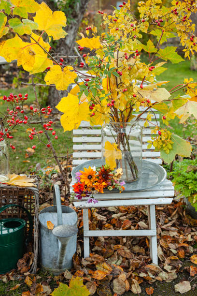 istock Autum floral arrangements 1437773578