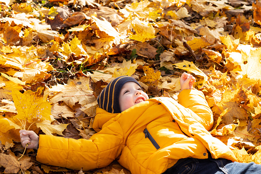 In the autumn park, a portrait of a cheerful 5 year old white boy in a yellow jacket with maple leaves