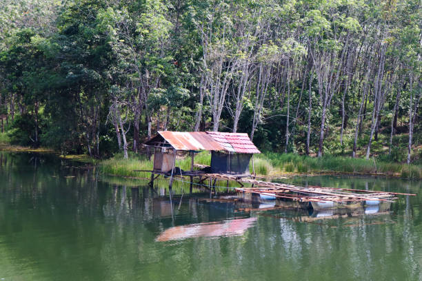 istock a small house on the edge of a lake with a dense forest behind it 1437775437