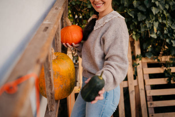 istock Autumn Decoration of my cute Front Yard 1437778362