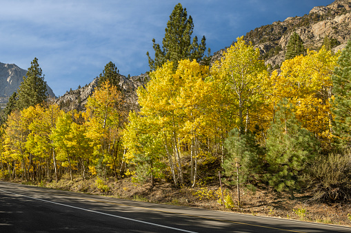 Fall road colors in Mammoth, California