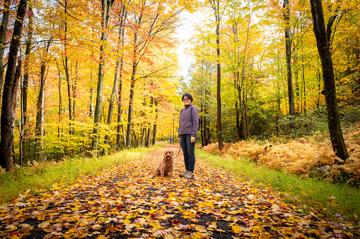 Portrait of Korean woman hiking with her dog during peak fall foliage