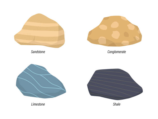 illustrazioni stock, clip art, cartoni animati e icone di tendenza di illustrazione di roccia sedimentaria arena, conglomerato, calcare e scisto - gneiss