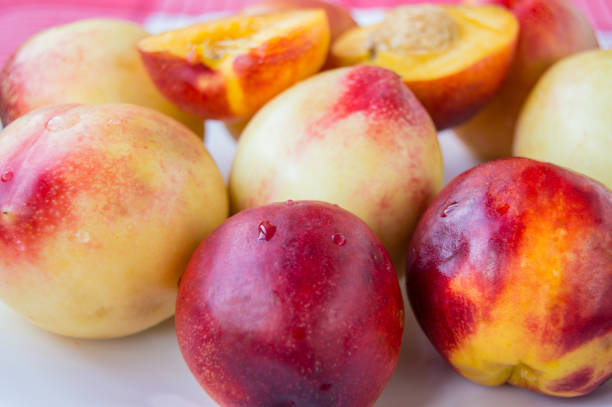 Ripe organic peaches few ripe organic peaches on a light pink background. Top view on a light pink background. Top view