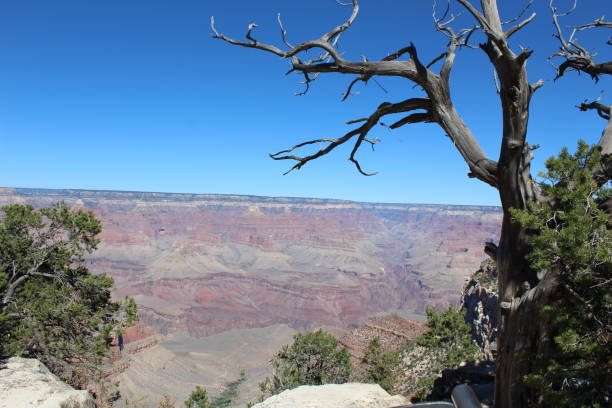istock Twisted Grand Canyon 1437812635